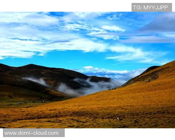 何思雨的心灵旅程：在困惑与希望中寻找自我与未来的光芒