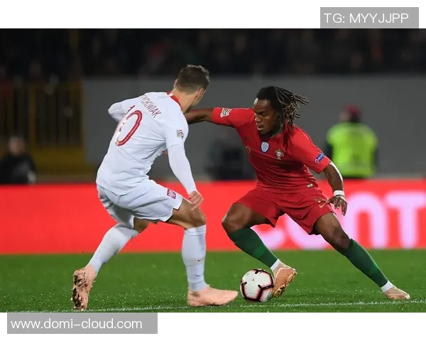 瑞士与波兰足球历史交锋数据分析及战绩回顾