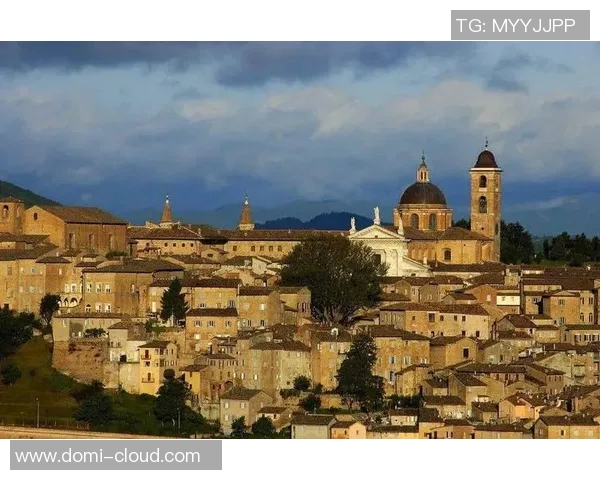 莱奥的成长之路从小镇到国际舞台的奋斗与荣耀 莱奥的成长之路从小镇到国际舞台的奋斗与荣耀