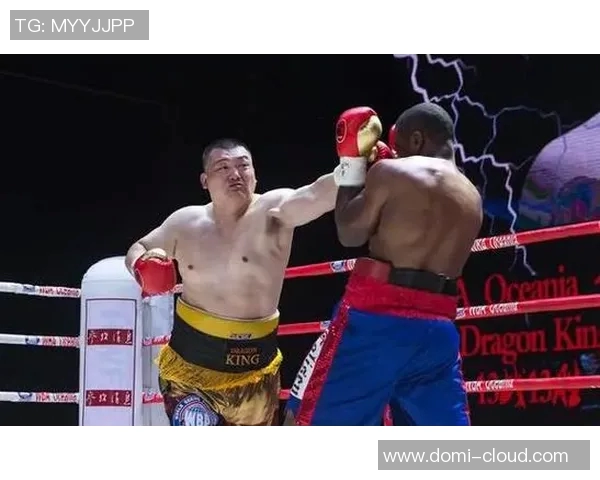 霍利菲尔德与张君龙的巅峰对决谁将成为拳击界的新传奇