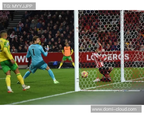 布伦特福德与诺维奇城比赛前瞻及胜负预测分析