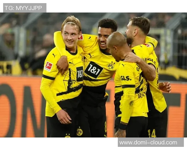 波鸿与多特蒙德对决前瞻分析及双方近期状态评估