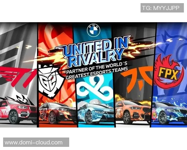 独家解析FPX团队协作的优势与不足之处对比分析