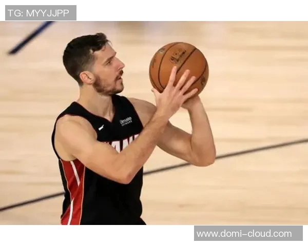 湖人对阵山猫精彩直播回顾与赛后分析全方位解读比赛亮点