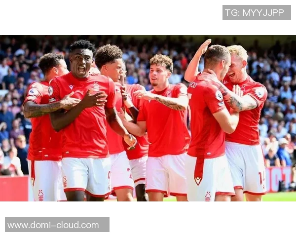 诺丁汉森林与考文垂的精彩对决分析与赛前预测 诺丁汉森林与考文垂的精彩对决分析与赛前预测