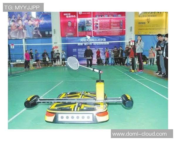 成都羽毛球队转型之路的得与失分析与展望MBA