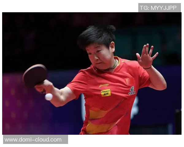 武汉乒乓球队在全国耐力排行榜中荣获第三名的辉煌成就