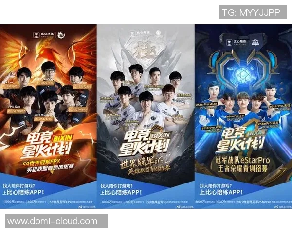 王者荣耀专题深度解析IG战队默契配合与战术运用的成功之道